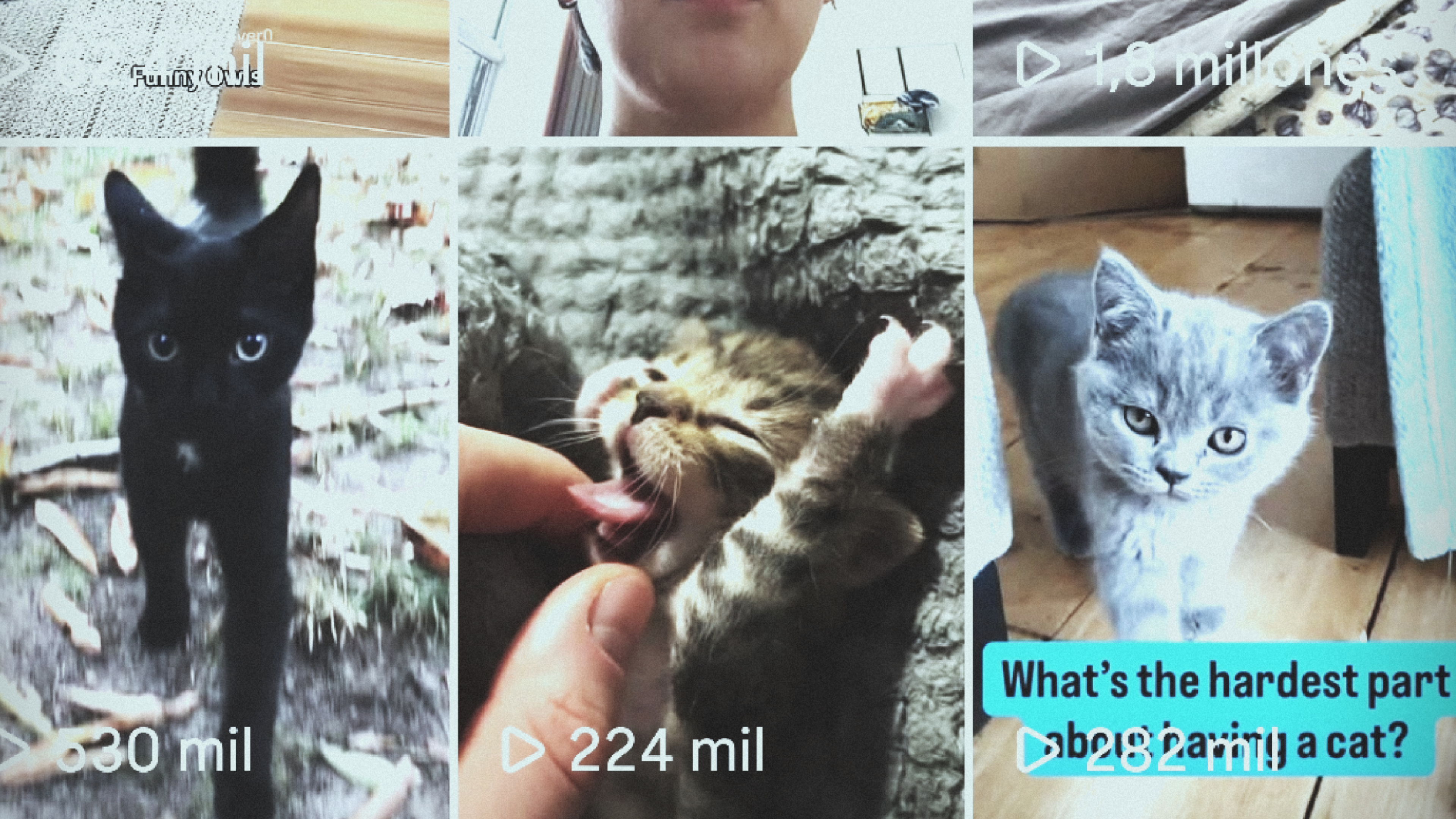 Greengoat - Blog Entry March 15th 2026